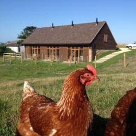 Bike Shed - Beautiful 1-Bed Cottage In Shorwell ภายนอก รูปภาพ