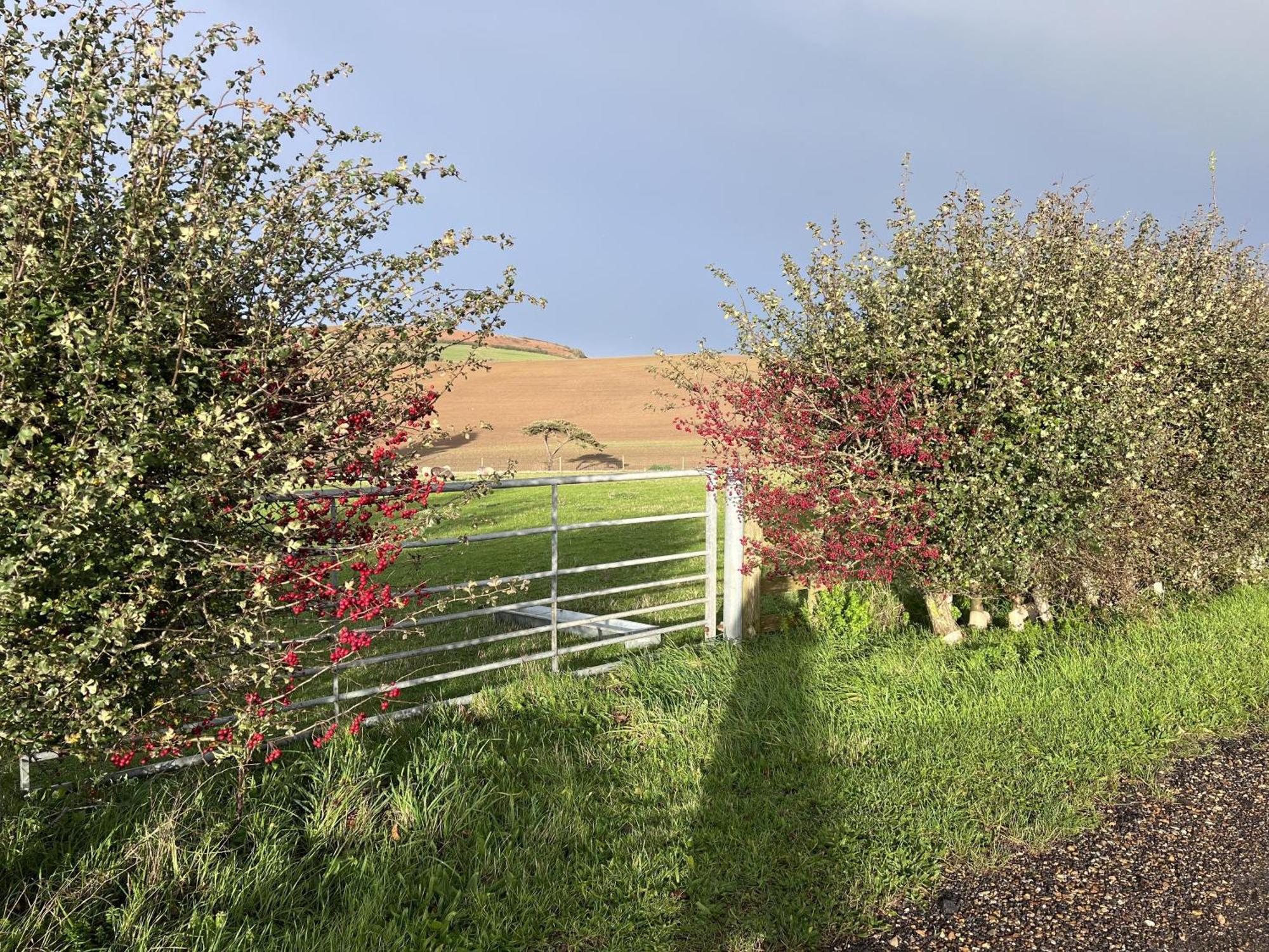 Bike Shed - Beautiful 1-Bed Cottage In Shorwell ภายนอก รูปภาพ
